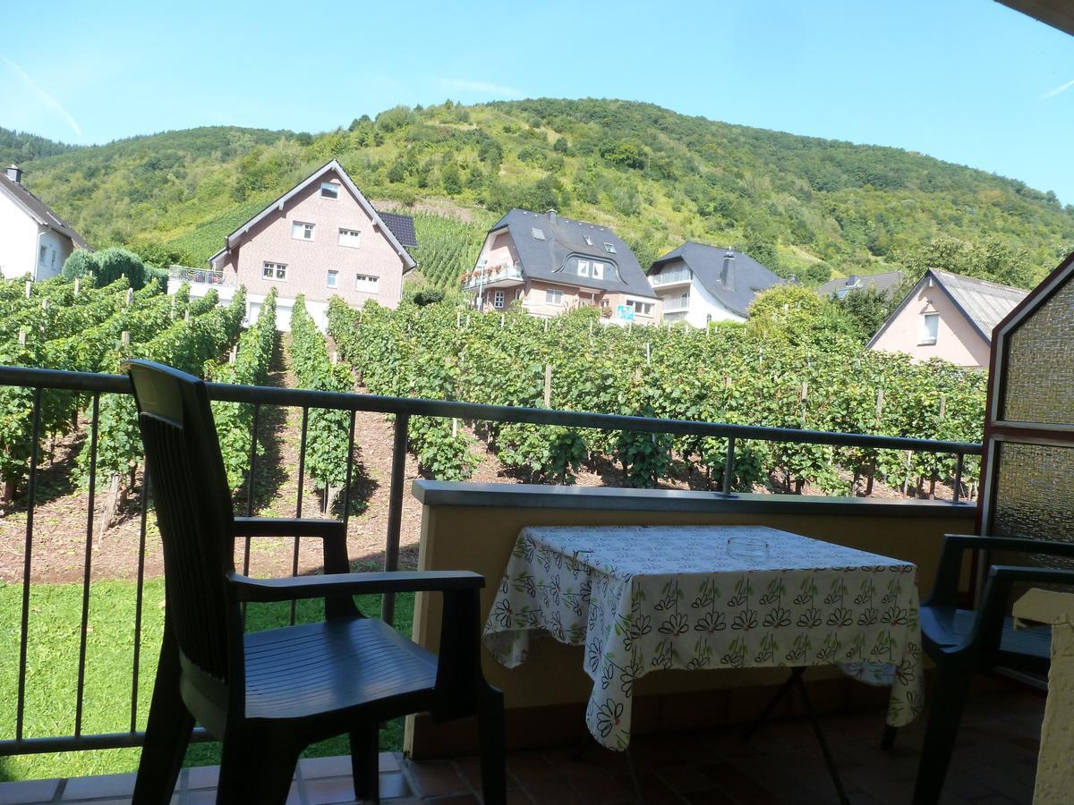 Wein- Und Gaestehaus St. Aldegundishof Sankt Aldegund Exterior foto